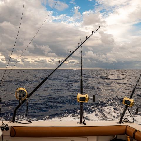 Fishing rods on a boat facing the ocean under a cloudy sky.
