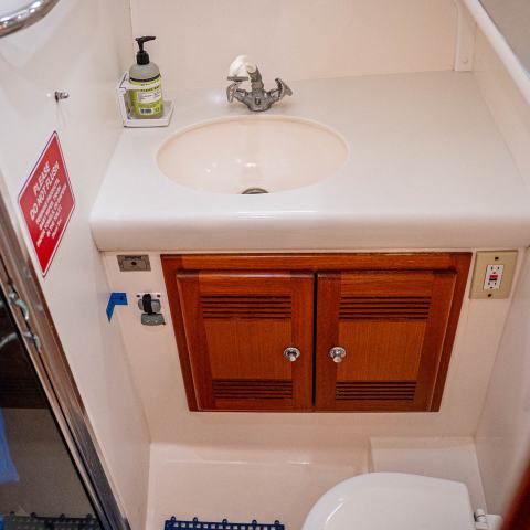 Compact boat bathroom with sink, wooden cabinet, and toilet, featuring a blue mat on the floor.